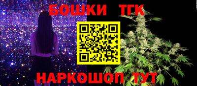 СК Обь