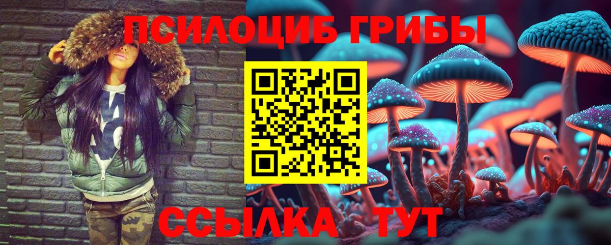 купить наркоту  Вход с VPN  Армавир  Галлюциногенные грибы MAGIC MUSHROOMS 