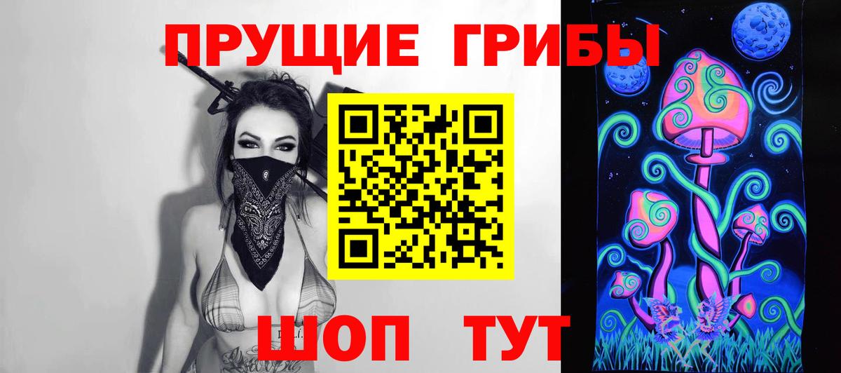 Псилоцибиновые грибы Psilocybine cubensis Армавир