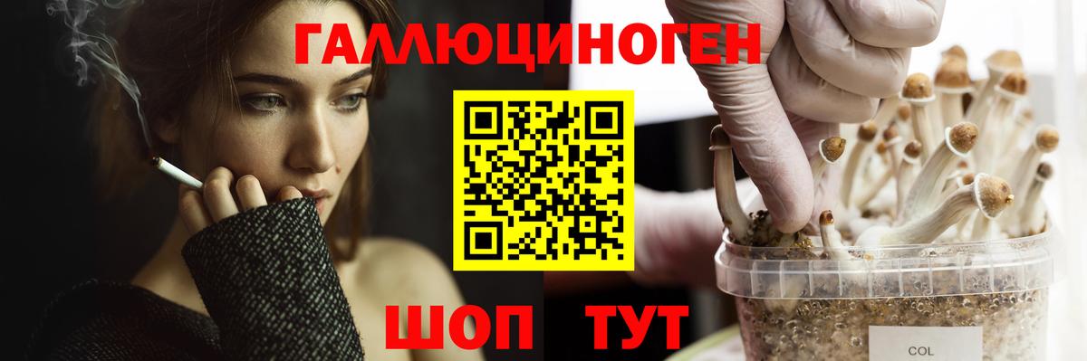 Гашиш  МЕТАДОН  Канабис  МДМА  МЕФ кристаллы  КОКАИН  Армавир  Вход с VPN 